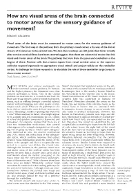 How Are Visual Areas of the Brain Connected to Motor Areas for the Sensory Guidance of Movement?