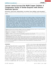 Laccase Versus Laccase-Like Multi-Copper Oxidase: a Comparative Study of Similar Enzymes with Diverse Substrate Spectra