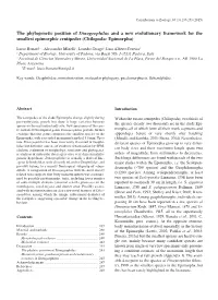The Phylogenetic Position of Dinogeophilus and a New Evolutionary Framework for the Smallest Epimorphic Centipedes (Chilopoda: Epimorpha)