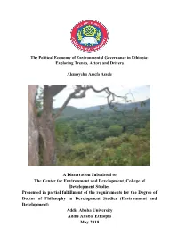 A Dissertation Submitted To