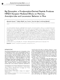 Big Dynorphin, a Prodynorphin-Derived Peptide Produces NMDA Receptor-Mediated Effects on Memory, Anxiolytic-Like and Locomotor Behavior in Mice