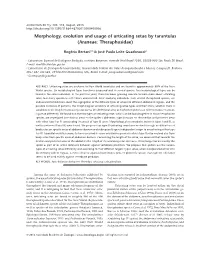Morphology, Evolution and Usage of Urticating Setae by Tarantulas (Araneae: Theraphosidae)