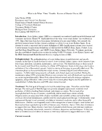 Review of Diuretic Use in AKI Julie Pfeifer, DVM Emergency And