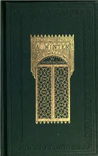 A Winter with the Swallows