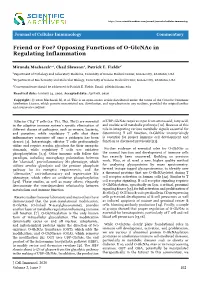 Friend Or Foe? Opposing Functions of O-Glcnac in Regulating Inflammation
