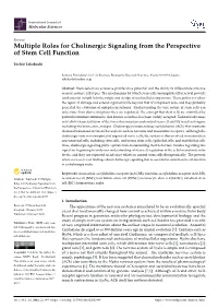 Multiple Roles for Cholinergic Signaling from the Perspective of Stem Cell Function