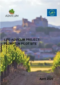 Plumpton Technical Report