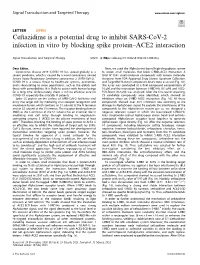 Ceftazidime Is a Potential Drug to Inhibit SARS-Cov-2 Infection in Vitro by Blocking Spike Protein–ACE2 Interaction