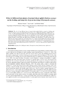 Effect of Different Host Plants of Normal Wheat Aphid (Sitobion Avenae) on the Feeding and Longevity of Green Lacewing (Chrysoperla Carnea)