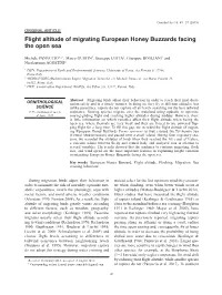 Flight Altitude of Migrating European Honey Buzzards Facing the Open Sea