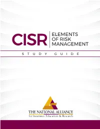 Cisr Elements of Risk Management