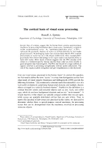 The Cortical Basis of Visual Scene Processing
