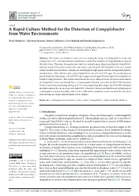 A Rapid Culture Method for the Detection of Campylobacter from Water Environments