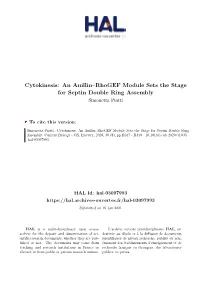 An Anillin–Rhogef Module Sets the Stage for Septin Double Ring Assembly Simonetta Piatti