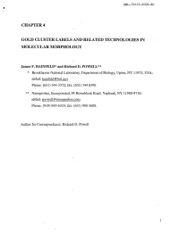 Chapter 4 Gold Cluster Labels and Related Technologies in Molecular Morphology