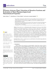 Rhamnus Alaternus Plant: Extraction of Bioactive Fractions and Evaluation of Their Pharmacological and Phytochemical Properties
