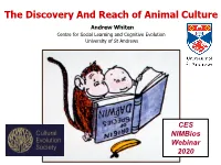 Webinar Slides