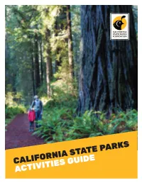 Activities Guide