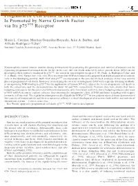Programmed Cell Death in the Developing Somites Is Promoted By