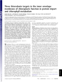 Three Thioredoxin Targets in the Inner Envelope Membrane of Chloroplasts Function in Protein Import and Chlorophyll Metabolism
