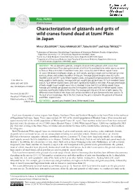 Characterization of Gizzards and Grits of Wild Cranes Found Dead at Izumi Plain in Japan