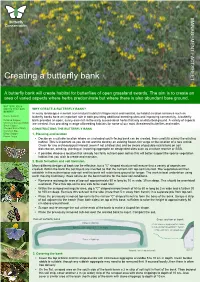 Creating a Butterfly Bank