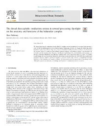 The Dorsal Diencephalic Conduction System in Reward Processing: Spotlight on the Anatomy and Functions of the Habenular Complex
