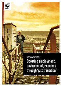 Boosting Employment, Environment, Economy Through ‘Just Transition’ Authors and Contributors