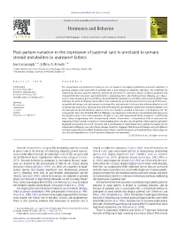 Post-Partum Variation in the Expression of Paternal Care Is Unrelated to Urinary Steroid Metabolites in Marmoset Fathers