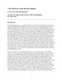 "The Mystery of the Breath Nimitta" Or, the Case of the Missing Simile