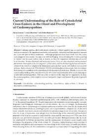 Current Understanding of the Role of Cytoskeletal Cross-Linkers in the Onset and Development of Cardiomyopathies