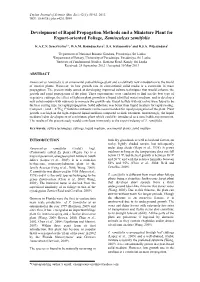 Development of Rapid Propagation Methods and a Miniature Plant for Export-Oriented Foliage, Zamioculcas Zamiifolia