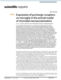 Expression of Purinergic Receptors on Microglia in the Animal Model Of