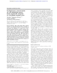 From Nematode Neurons to Vertebrate Neural Crest