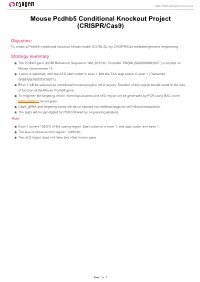 Mouse Pcdhb5 Conditional Knockout Project (CRISPR/Cas9)