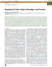Regulatory B Cells: Origin, Phenotype, and Function