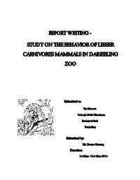 Study on the Behavior of Lesser Carnivores Mammals in Darjeeling Zoo