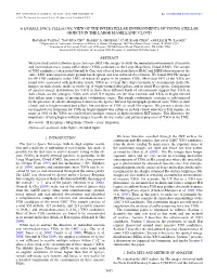A Hubble Space Telescope View of the Interstellar Environments of Young Stellar Objects in the Large Magellanic Cloud