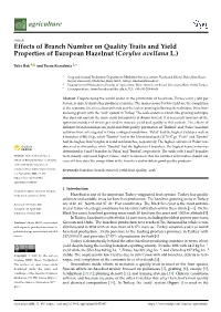 Effects of Branch Number on Quality Traits and Yield Properties of European Hazelnut (Corylus Avellana L.)