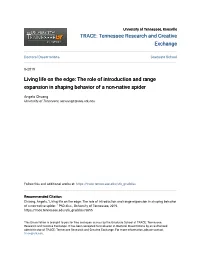 The Role of Introduction and Range Expansion in Shaping Behavior of a Non-Native Spider