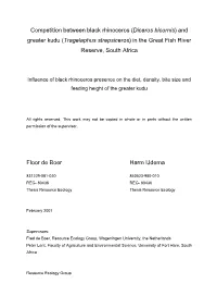 Thesis Report Harm and Floor