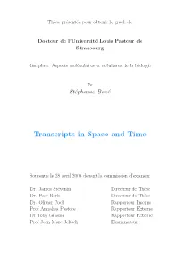 Transcripts in Space and Time