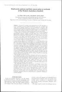 Adec Preview Generated PDF File