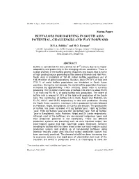 Buffaloes for Dairying in South Asia: Potential, Challenges and Way Forward