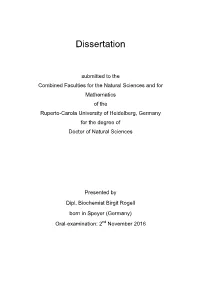 Dissertation