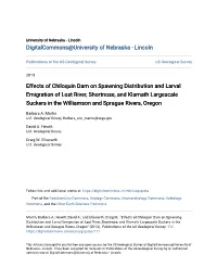 Effects of Chiloquin Dam on Spawning Distribution and Larval Emigration of Lost River, Shortnose, and Klamath Largescale Sucke
