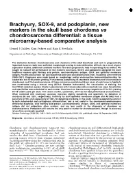 Brachyury, SOX-9, and Podoplanin, New Markers in the Skull Base Chordoma Vs Chondrosarcoma Differential: a Tissue Microarray-Based Comparative Analysis