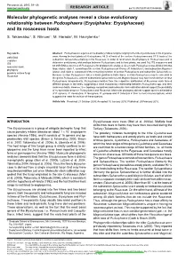 Molecular Phylogenetic Analyses Reveal a Close Evolutionary Relationship Between Podosphaera (Erysiphales: Erysiphaceae) and Its Rosaceous Hosts