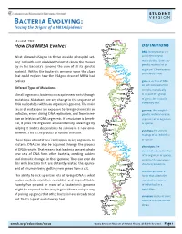 Bacteria Evolving: Tracing the Origins of a MRSA Epidemic