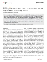 Microlayered Flow Structure Around an Acoustically Levitated Droplet Under